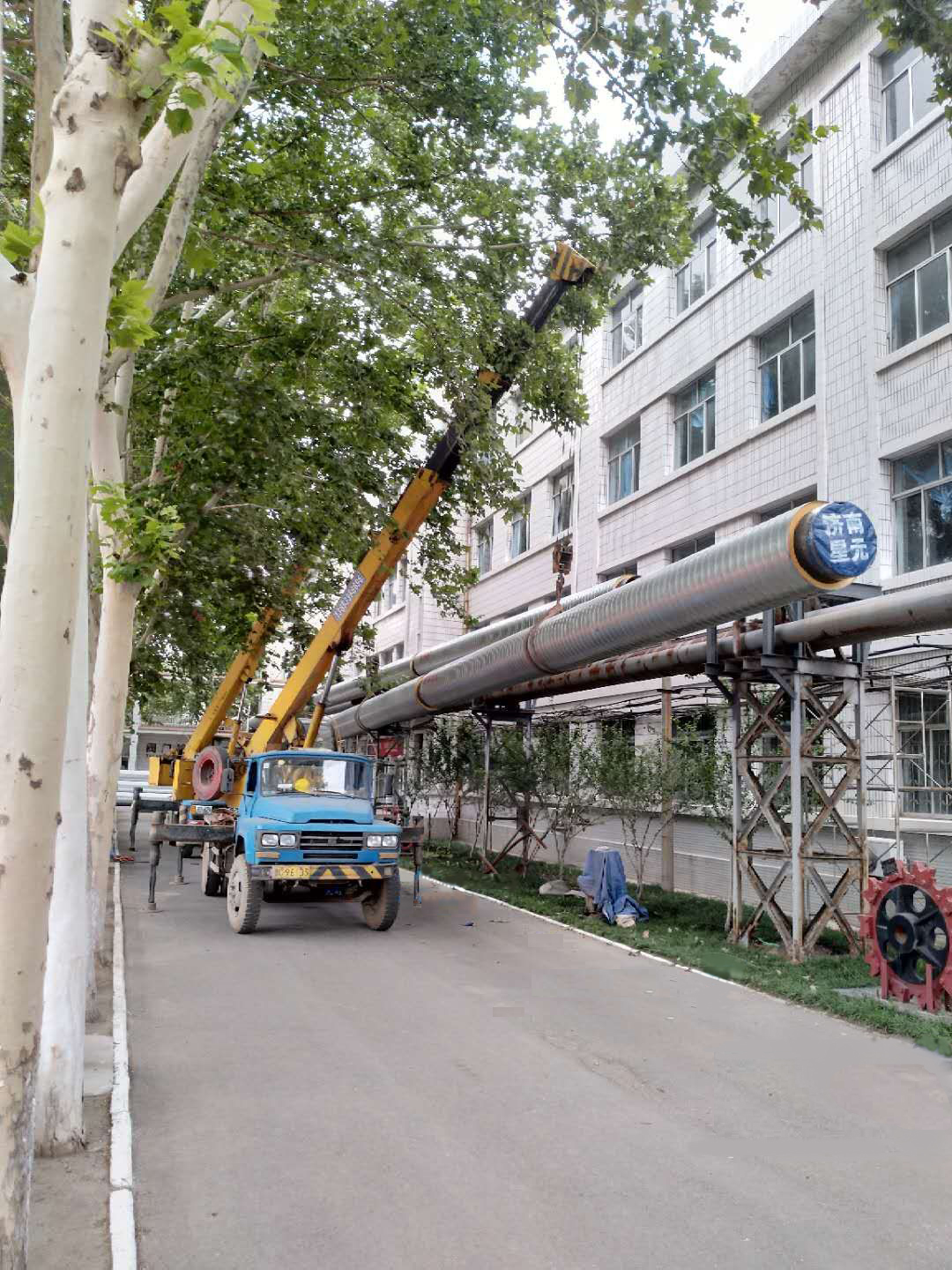 ���̬F(xi��n)��(ch��ng)